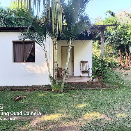 Hostel Los Chocoyos Mérida Kültér fotó