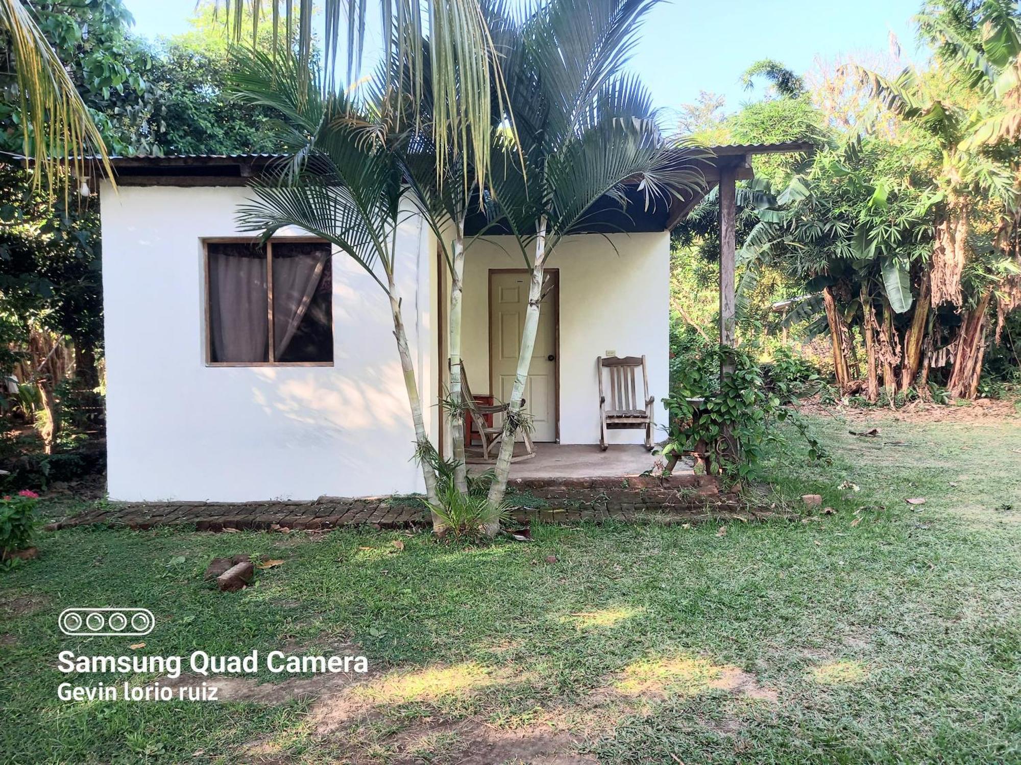 Hostel Los Chocoyos Mérida Kültér fotó